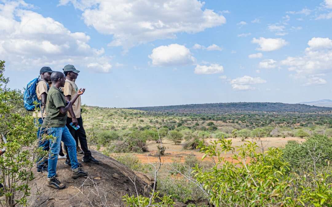 Protecting nature through citizen science