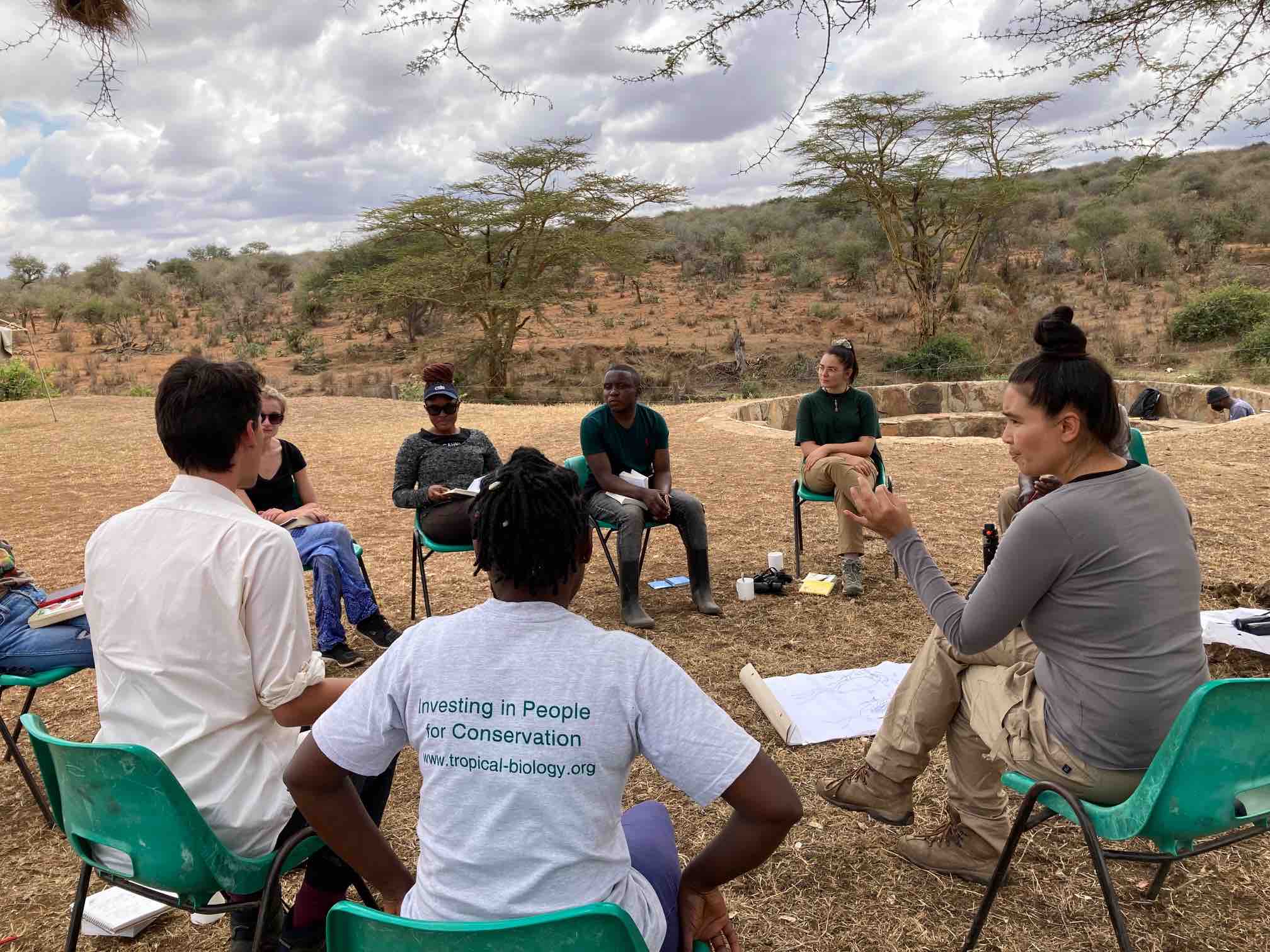 Participants studying under an Acacia tree