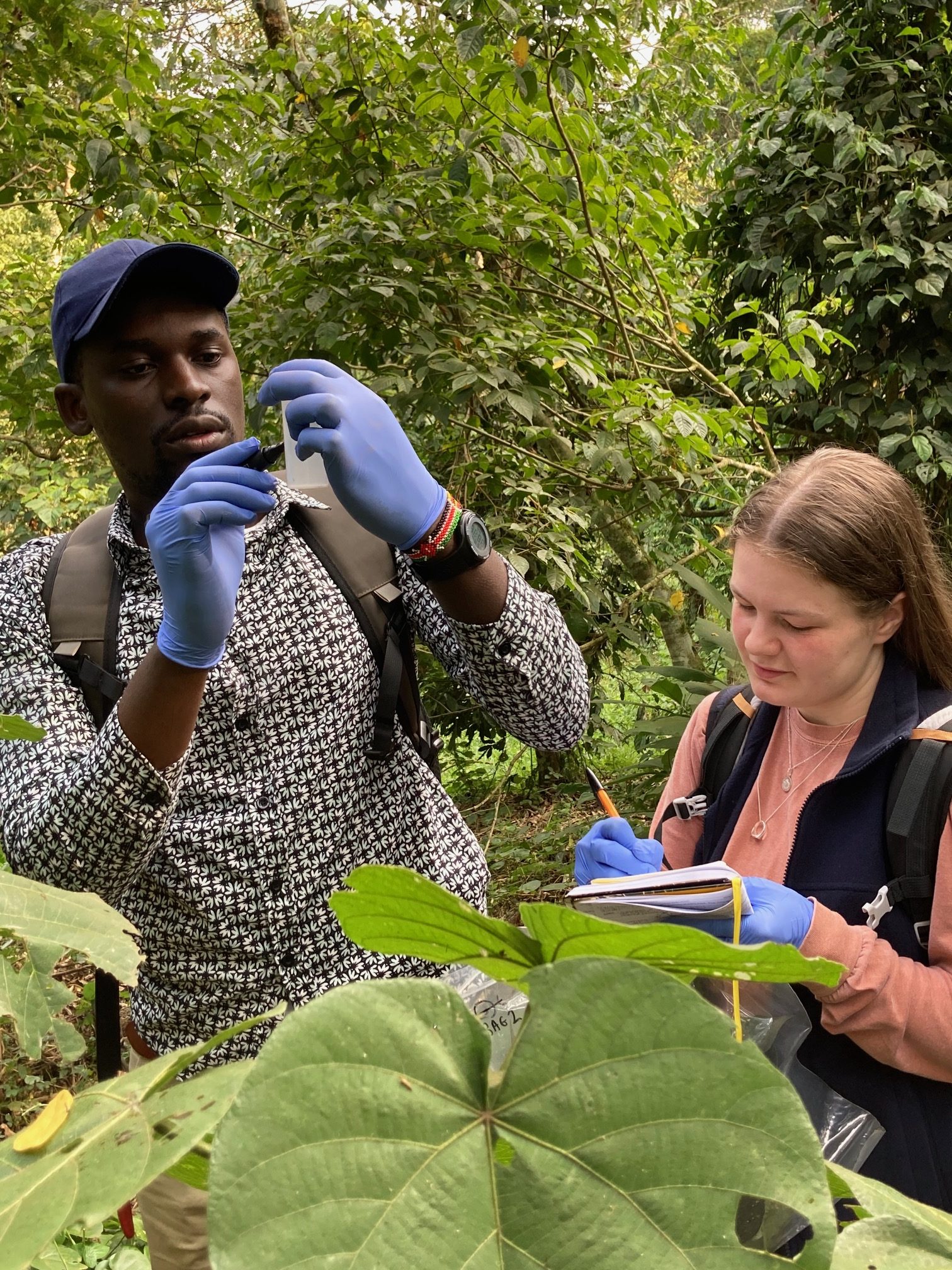 students working in forest