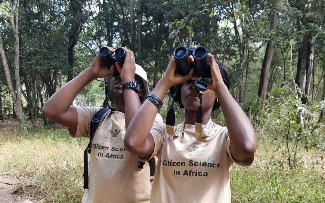 Making citizen science data work for conservation in Africa