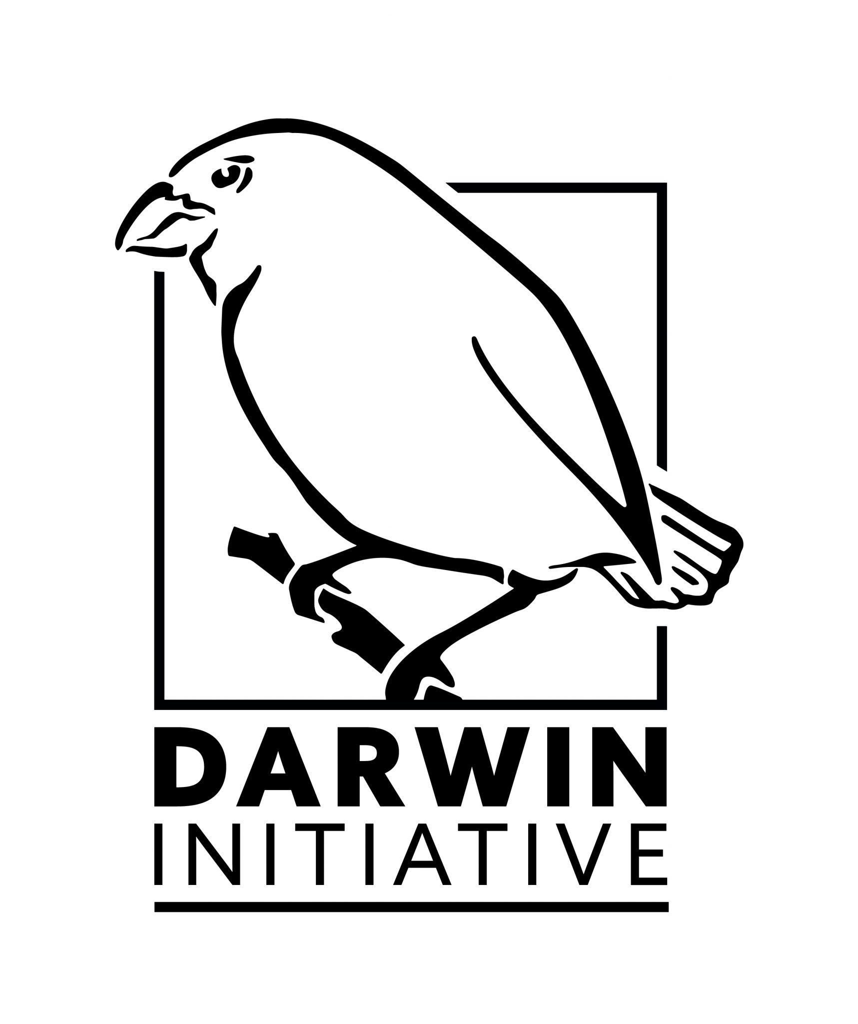 darwin-initiative-black-1717x2048