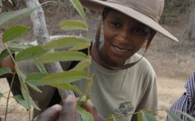 We are hiring a Regional Project Manager