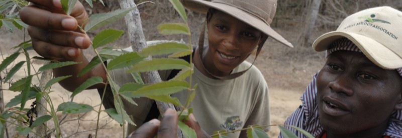 We are hiring a Regional Project Manager