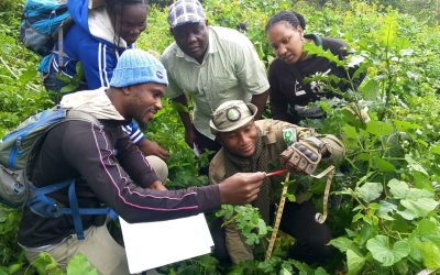 Seeds of change