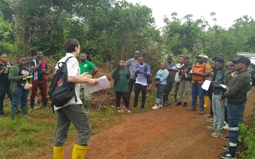 Moving the Dial: How 19 West African Managers Are Restoring Regional Forest Landscapes